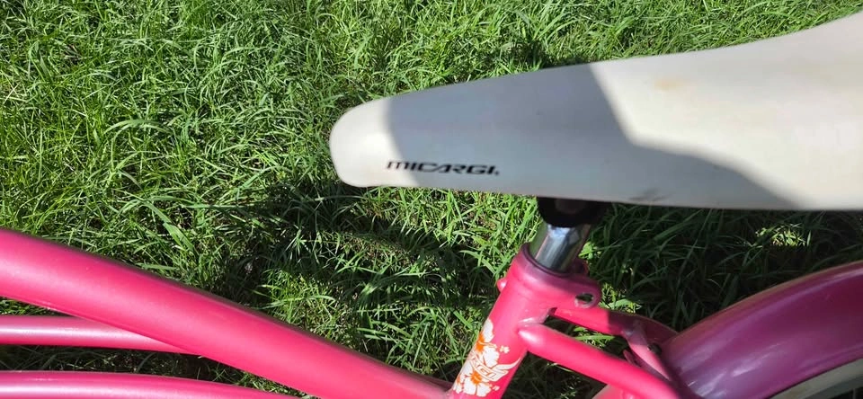 Micargi hero girl bike - photo 5
