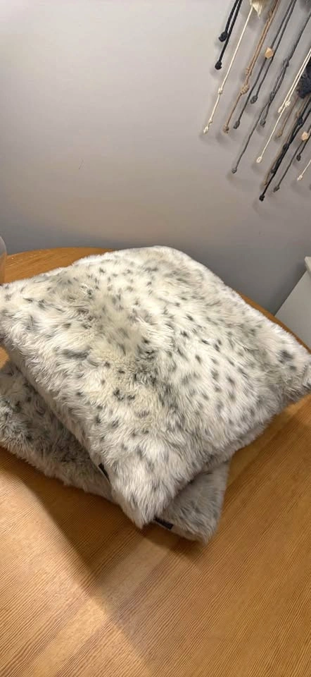 2 pack couch pillows