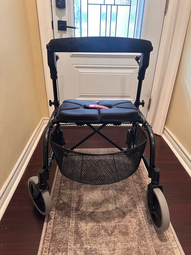 Nexus by Dana Douglas Rollator