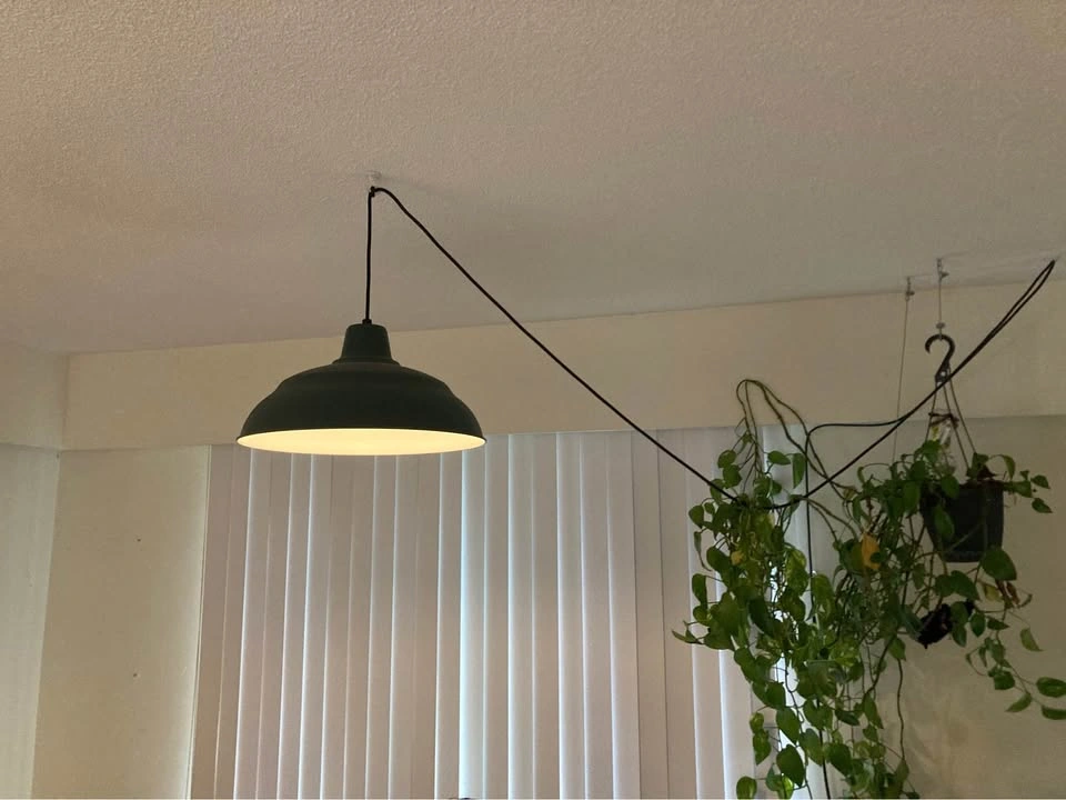 Two green sealing lamps