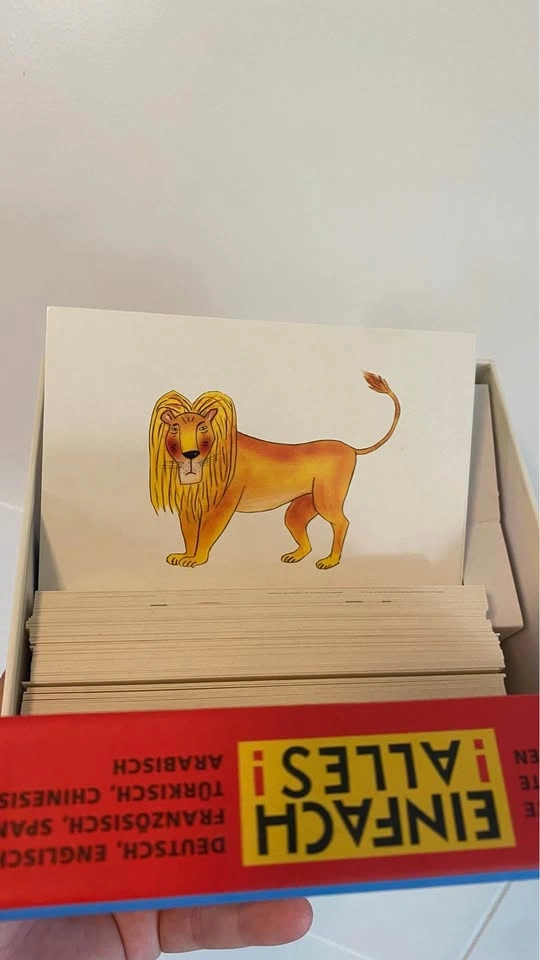 Education flash cards. Languages - photo 3