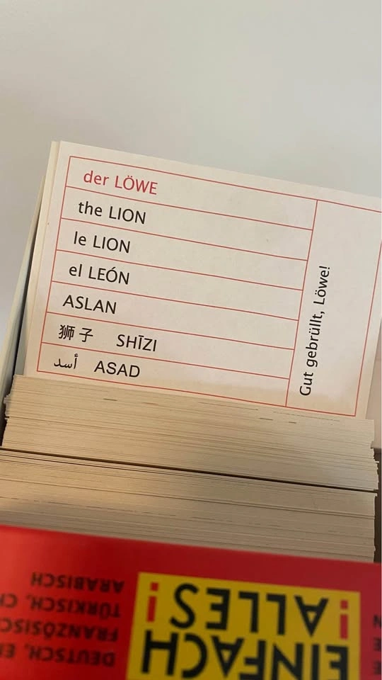 Education flash cards. Languages - photo 4
