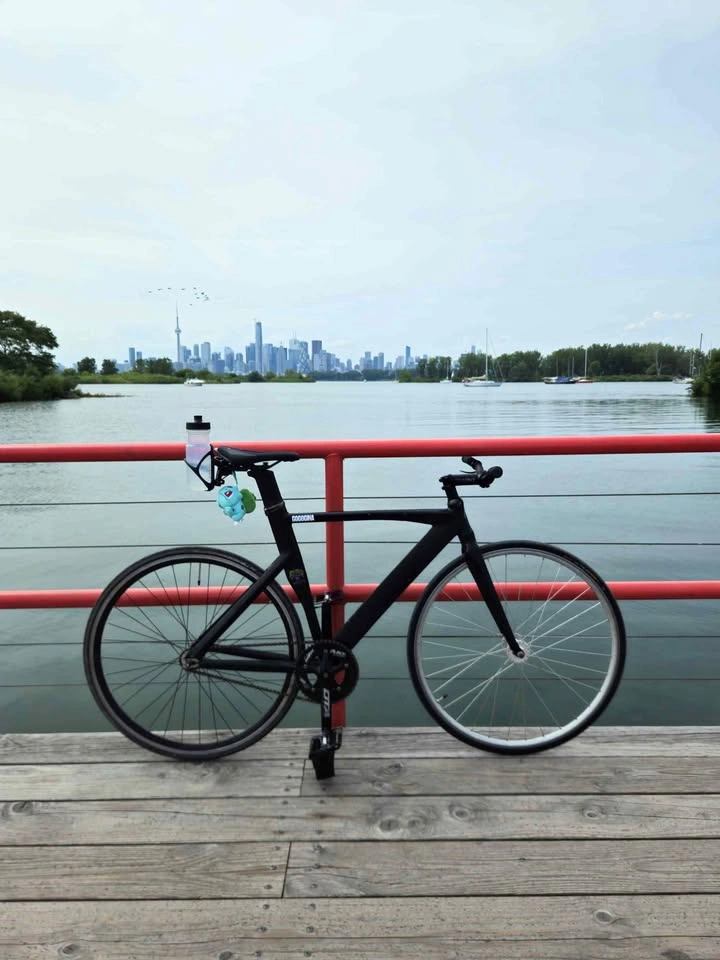 Fixie/Track FRAMESET w/ carbon seatpost