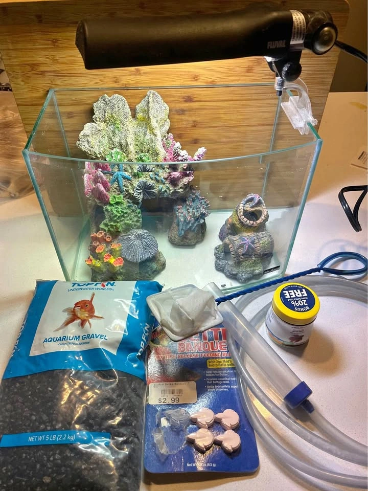 Betta fish tank and supplies