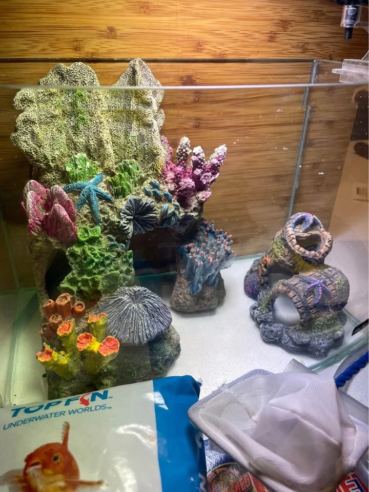 Betta fish tank and supplies - photo 2