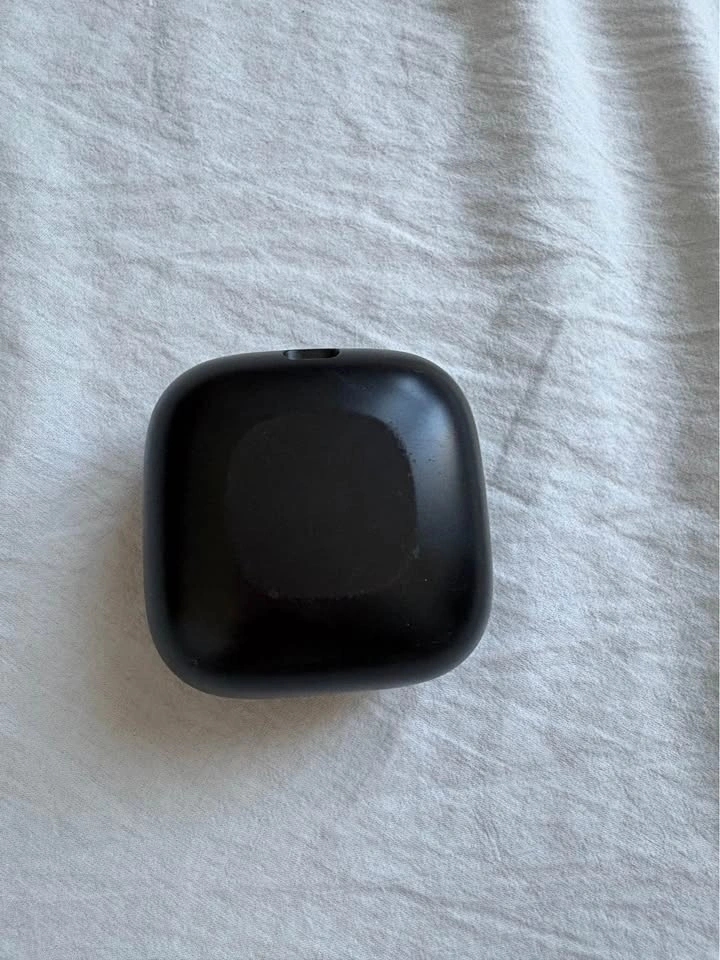 Powerbeats Pro 1 charging case - photo 2