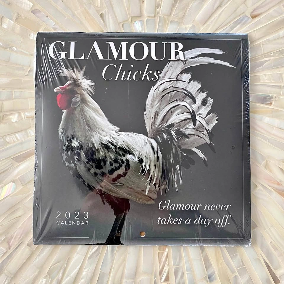 Fun Chicken 2023 Calendar