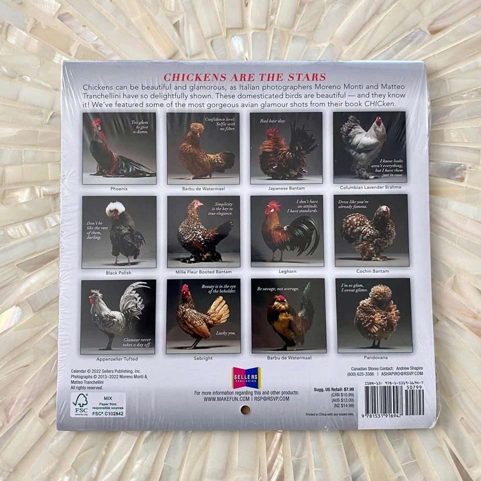 Fun Chicken 2023 Calendar - photo 2