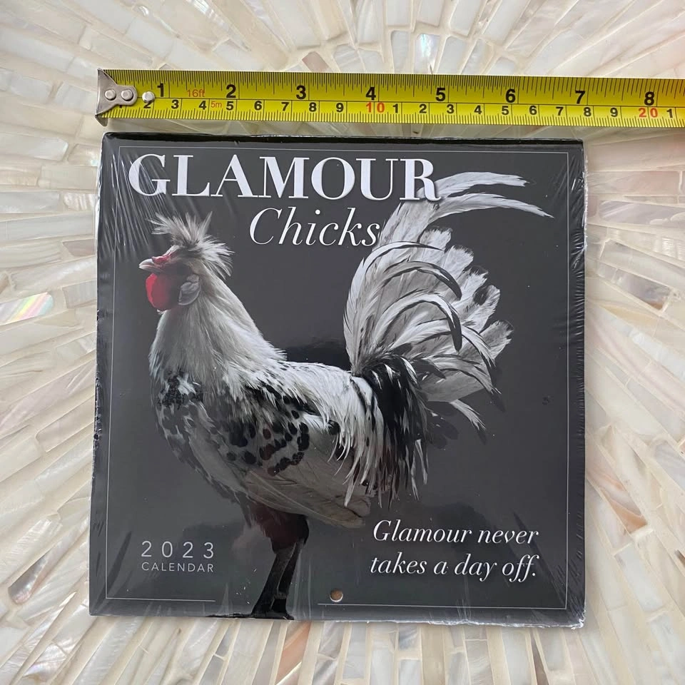 Fun Chicken 2023 Calendar - photo 3