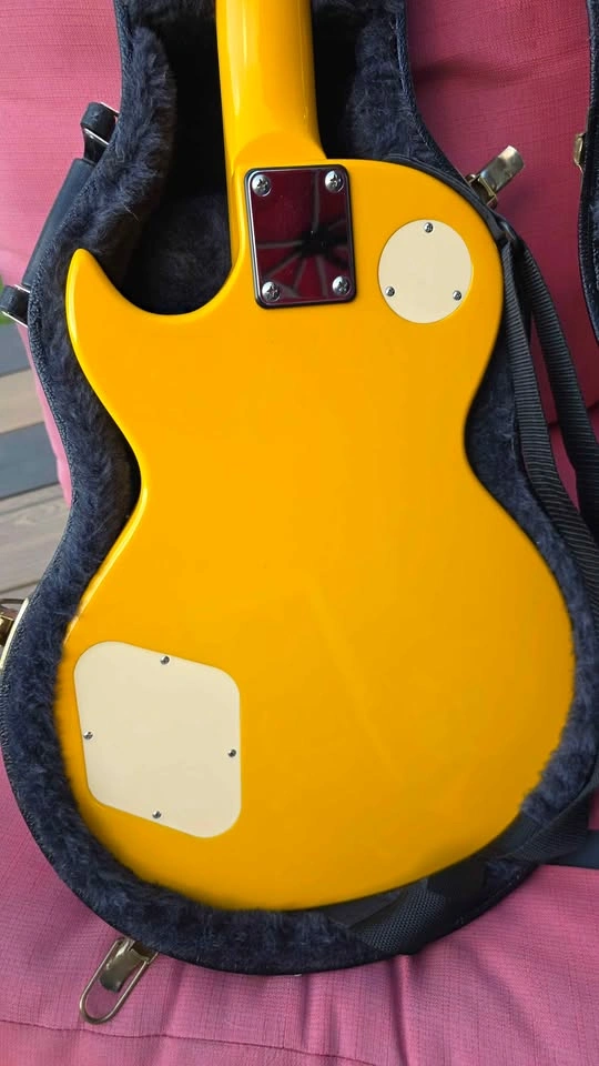 Les Paul Copy (Baron) - photo 4