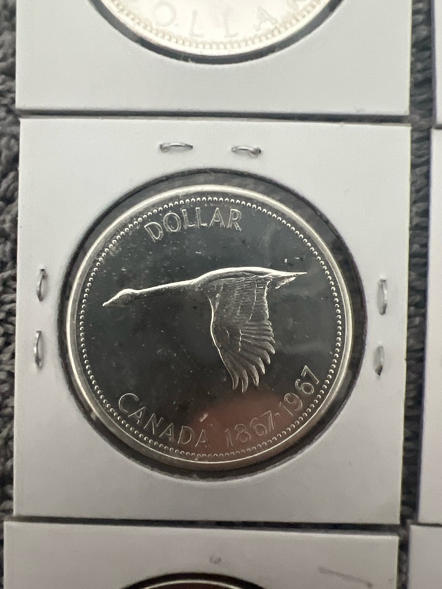 Pre 1967 Canadian Silver dollars - photo 2