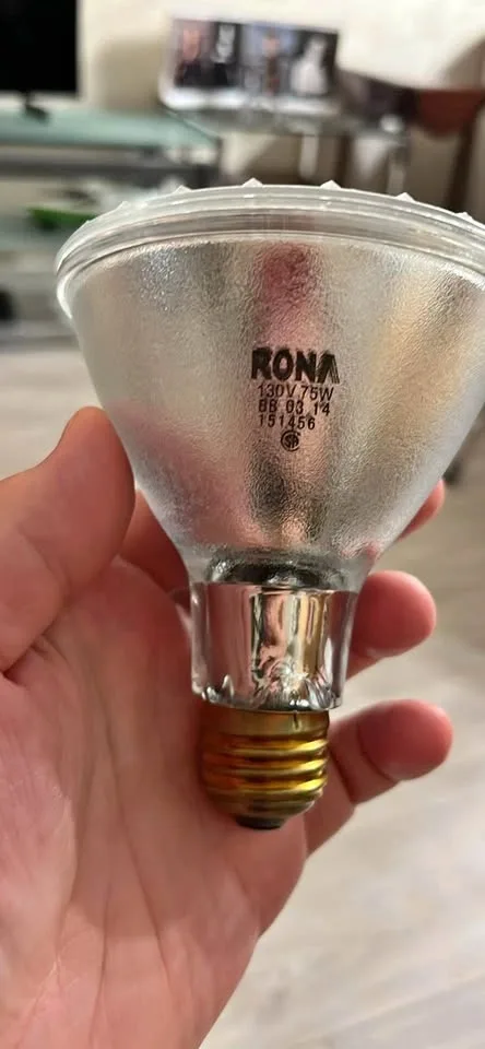 RONA 75W 130V Flood Light Bulb (4 units)