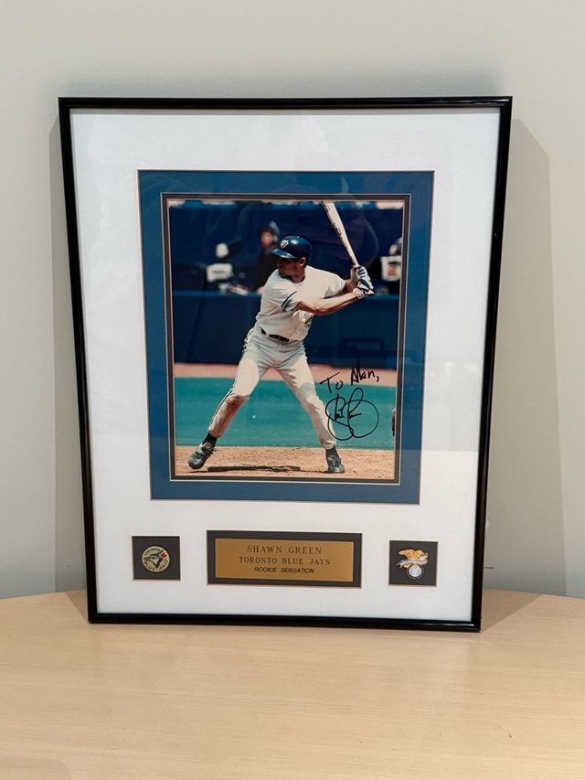 Shawn Green Toronto Blue Jays Framed Photo