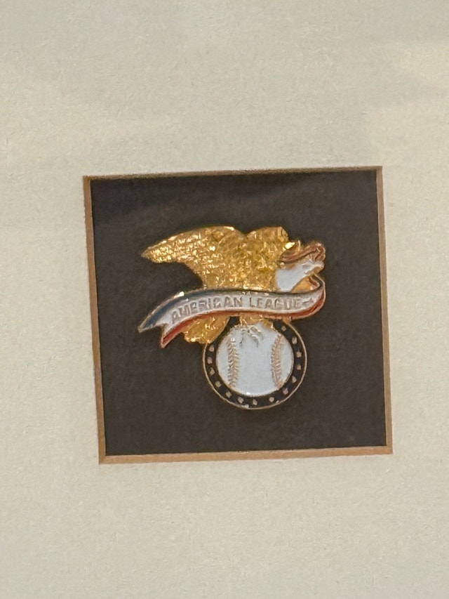 Shawn Green Toronto Blue Jays Framed Photo - photo 5