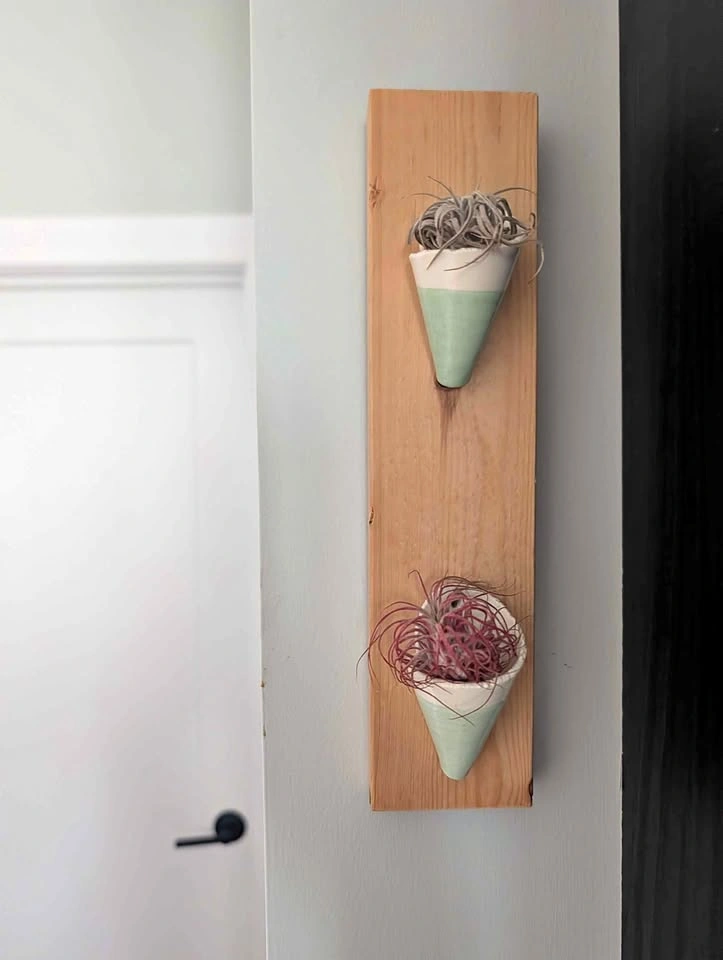 Handmade artisan wooden craft with ceramic air plant holders