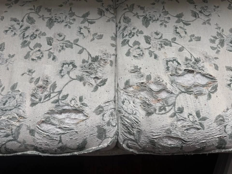 Vintage Carved Wood Sofa/ Settee - project piece - photo 4
