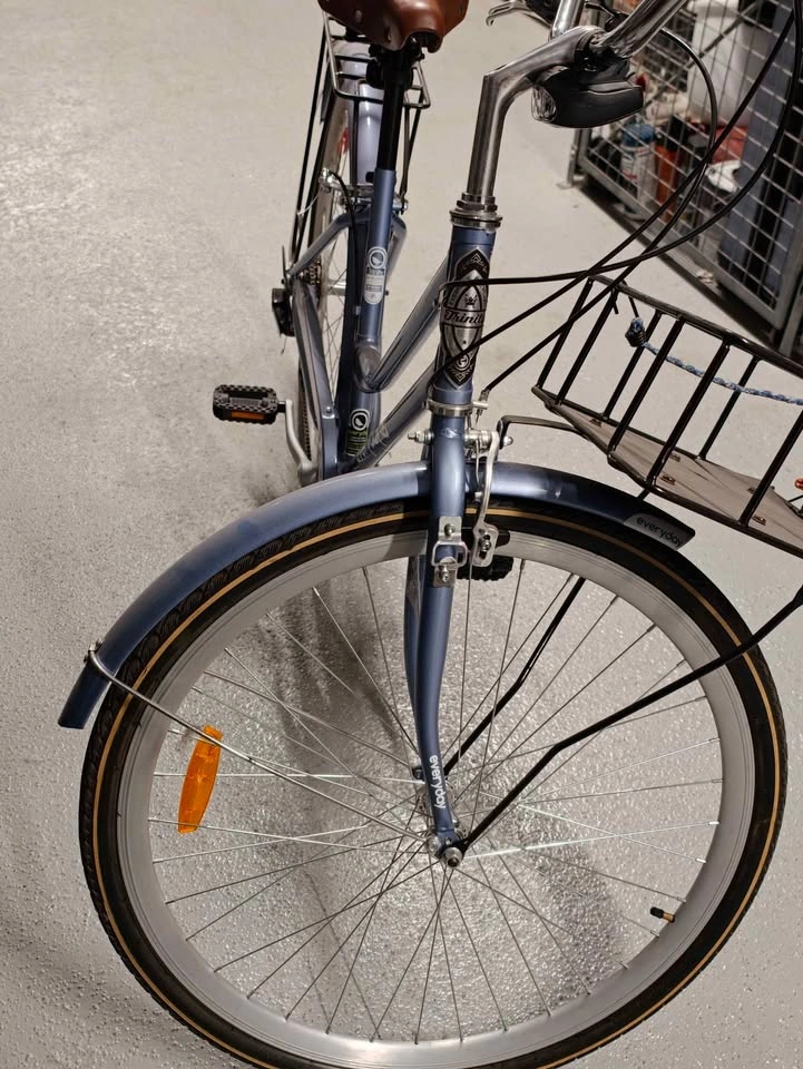 Everyday Traveller Comfort Bike - photo 4