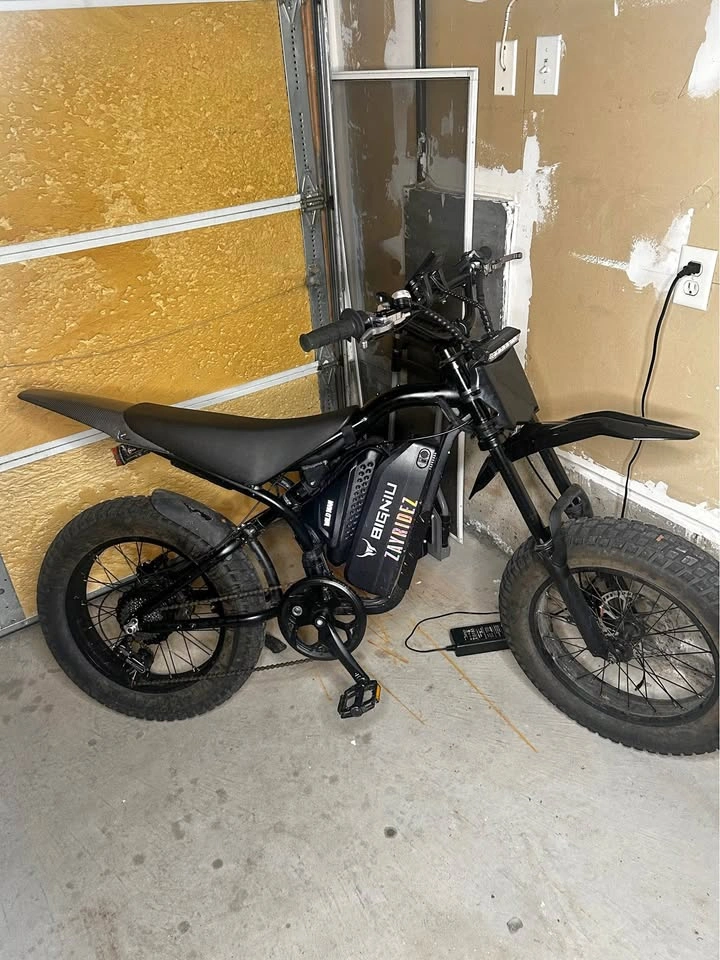 Moded Electric Birt Bike