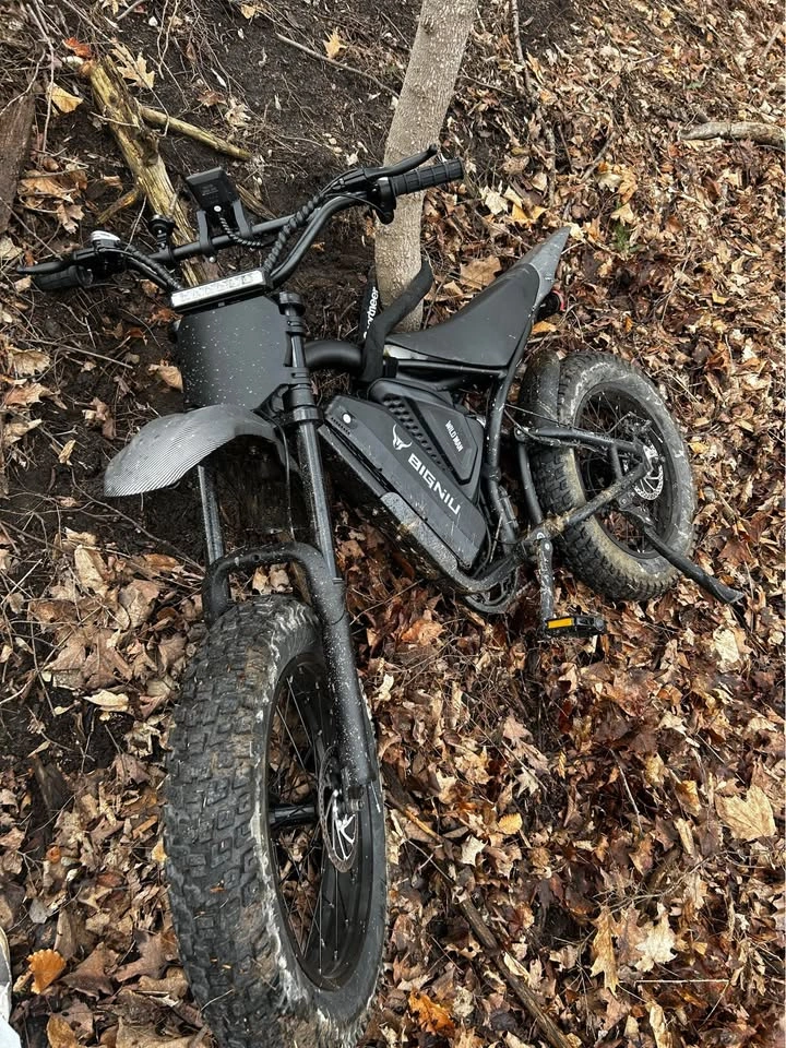Moded Electric Birt Bike - photo 2