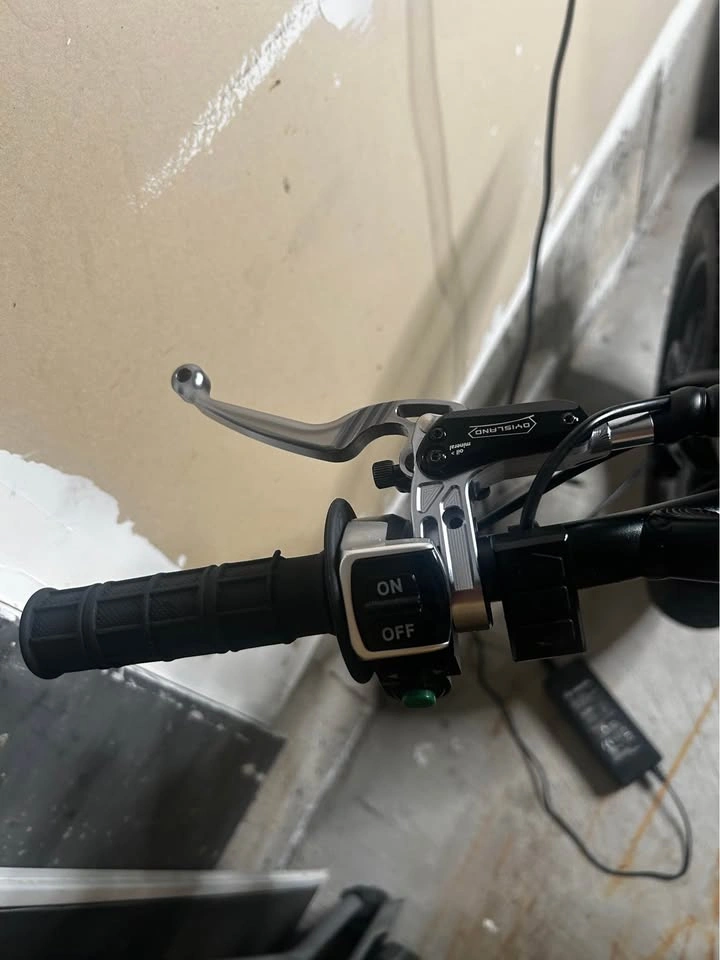 Moded Electric Birt Bike - photo 4