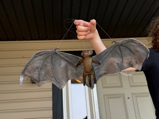 Halloween Decor - photo 2