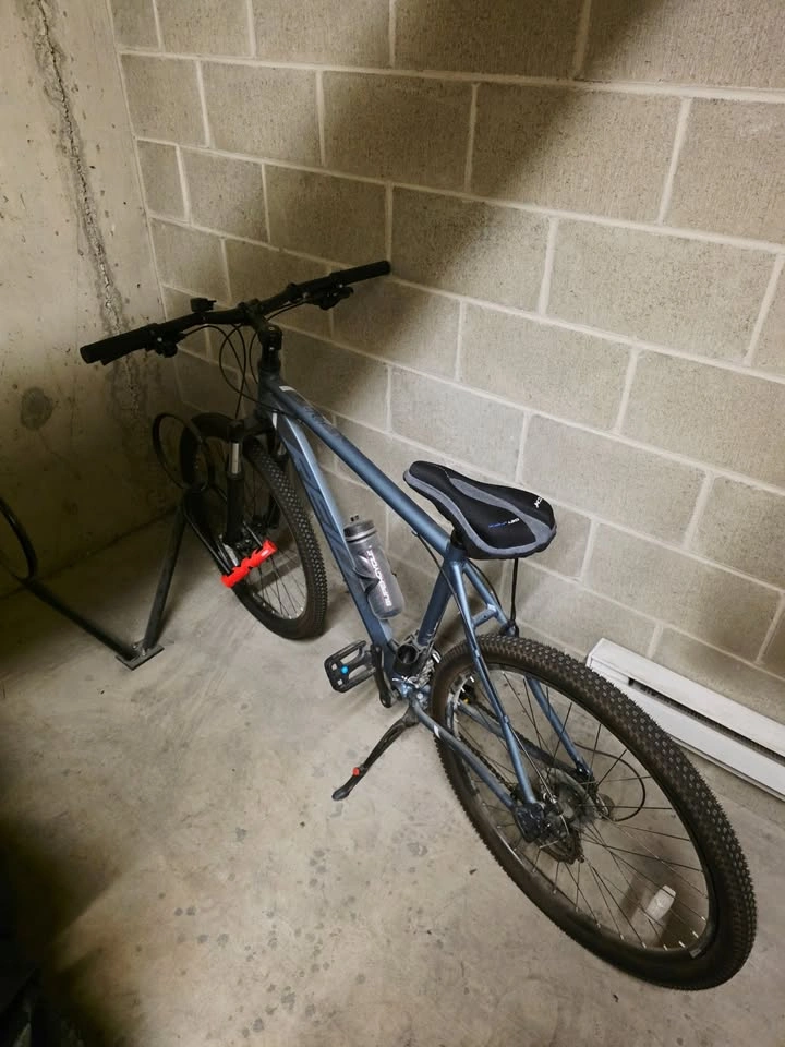 Reid Hybrid Bike In Almost New Condition