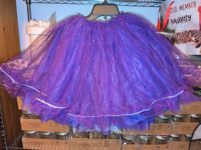 Curtain Call Costumes Children's Large Skirt