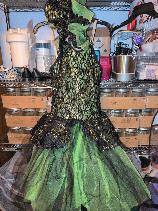 Curtain Call Costumes Evil Queen Dance Costume - photo 2