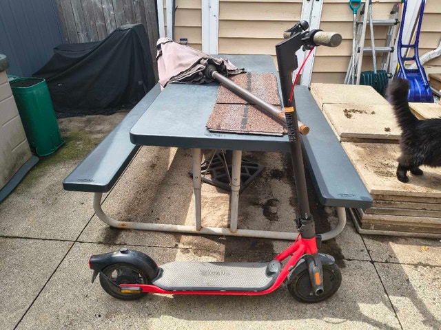 Segway Ninebot D38U