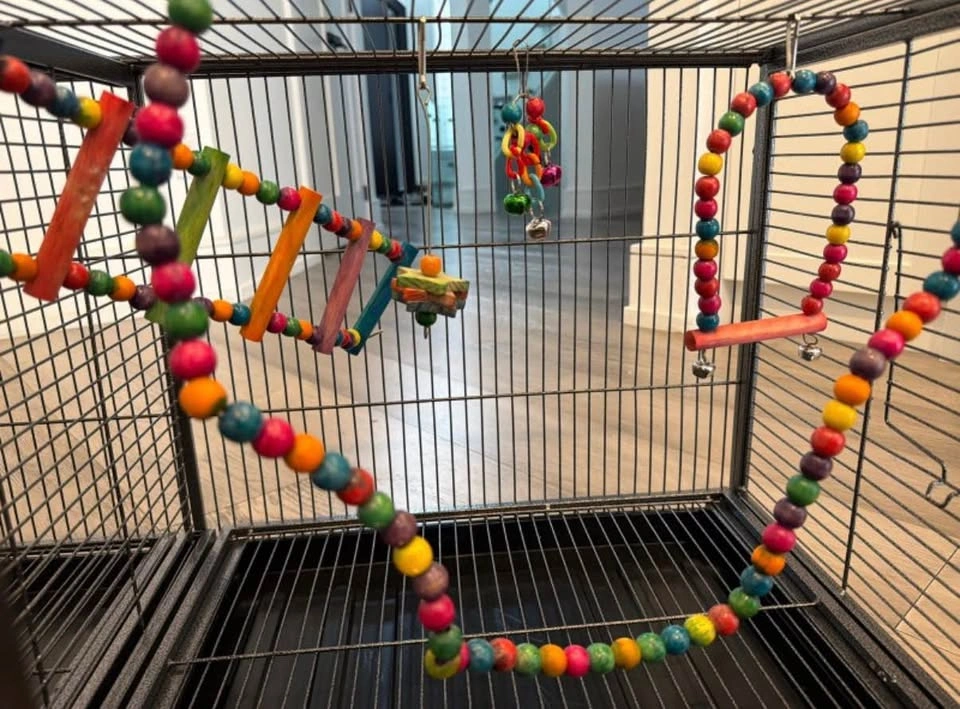 Large Dividable Bird Cage with Toys & Stainless Steel Bowls - photo 5