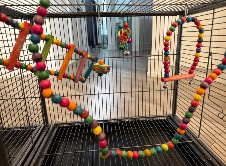 Large Dividable Bird Cage with Toys & Stainless Steel Bowls - photo 5