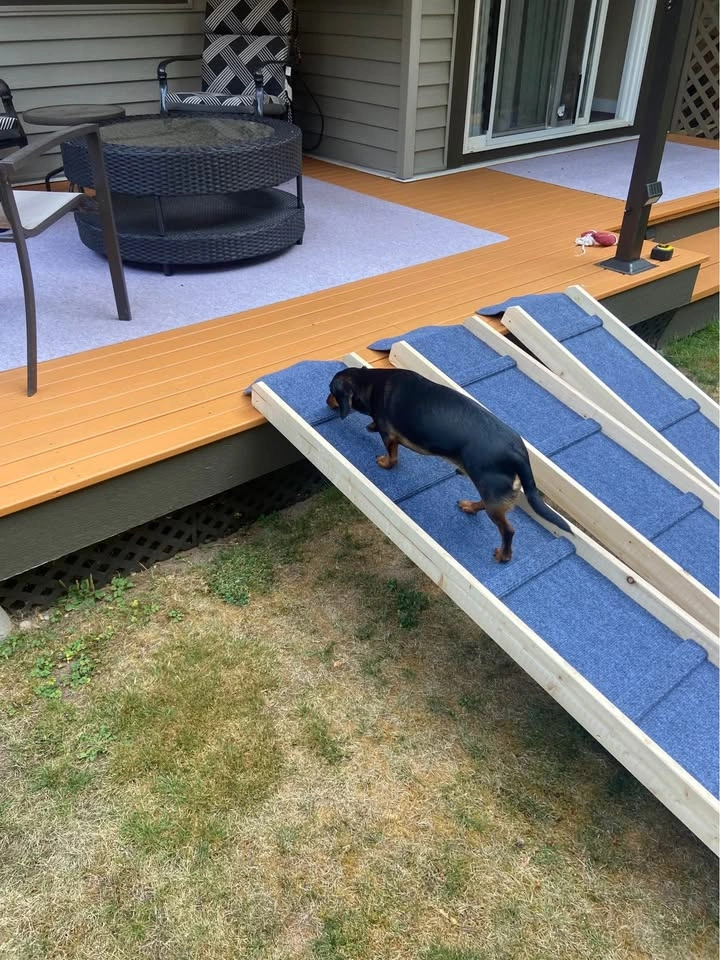 4ft, 6ft & 8ft Dog Pet Ramps - photo 2