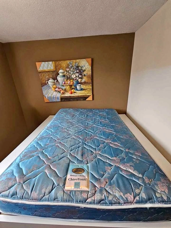 Leons Twin Mattress Platinum Collection
