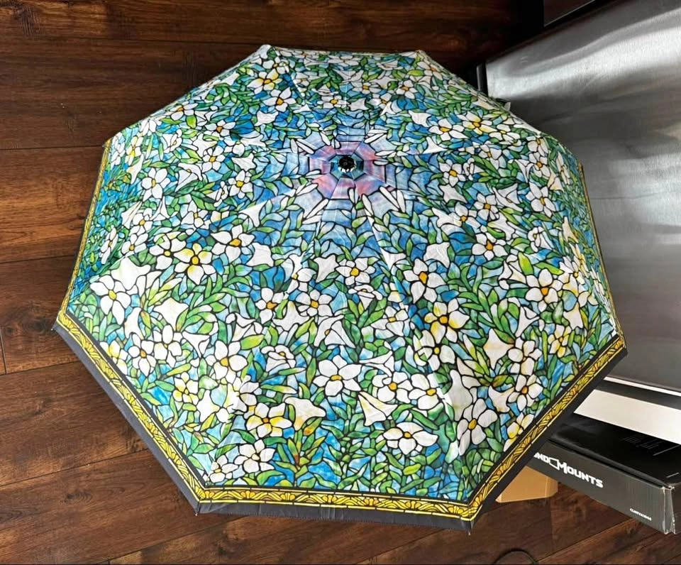 Raincaper Travel Umbrella – Compact, One-Touch Open & Close