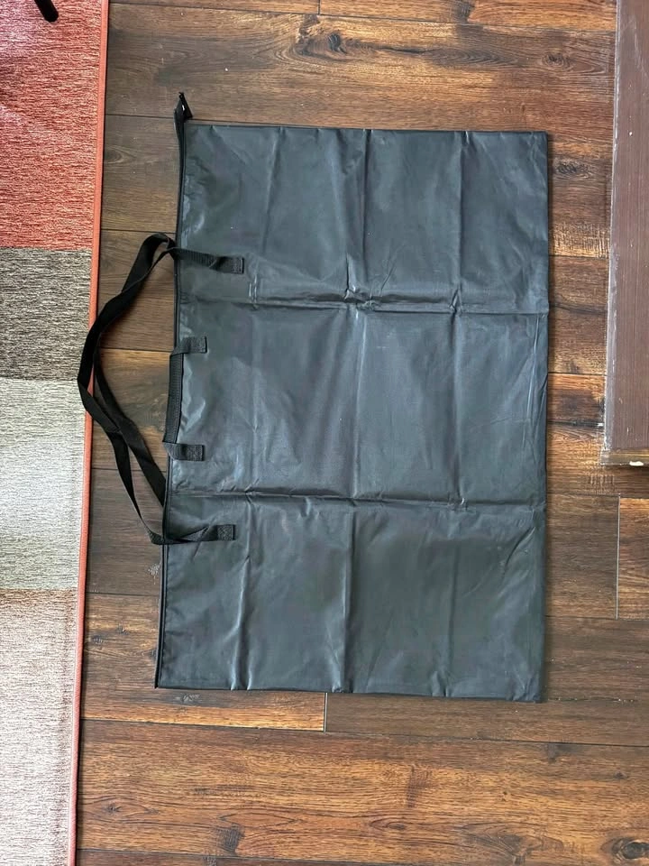 Art bag carrying case