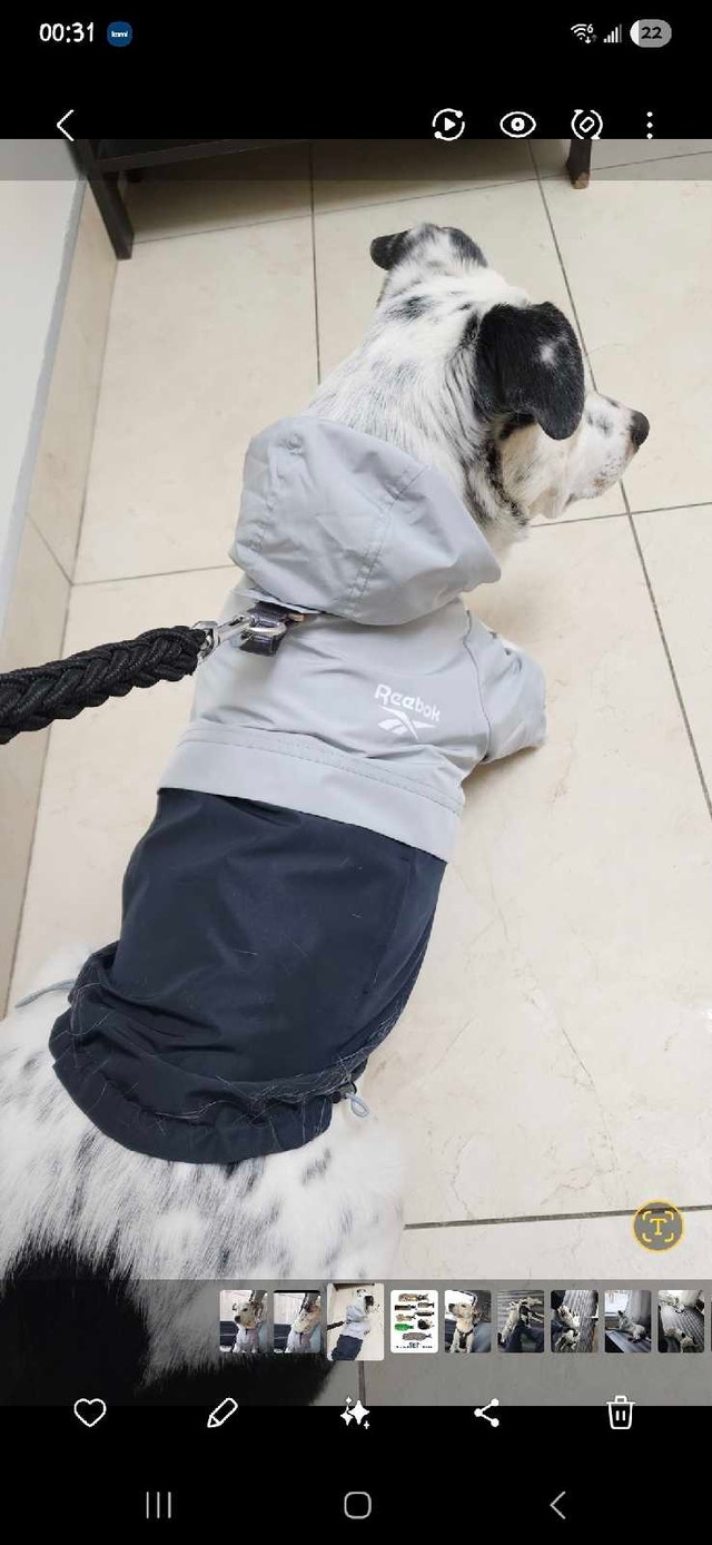 Reebok Dog Raincoat - photo 3