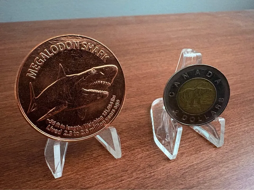 1 oz .999 fine copper bullion Megalodon shark round image indicator(3)
