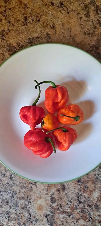 HOT PEPPER CHALLENGE