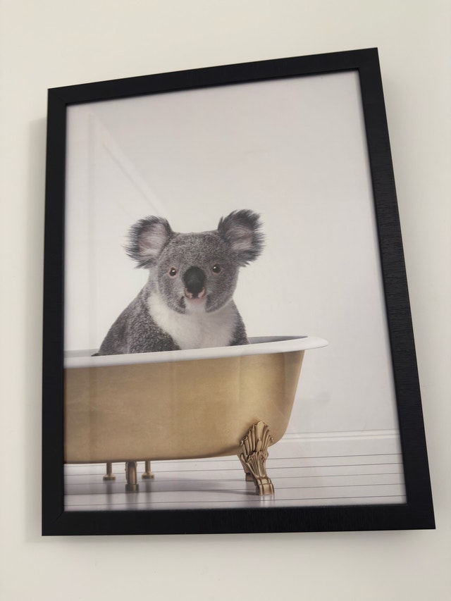 Cute Koala Picture Frame