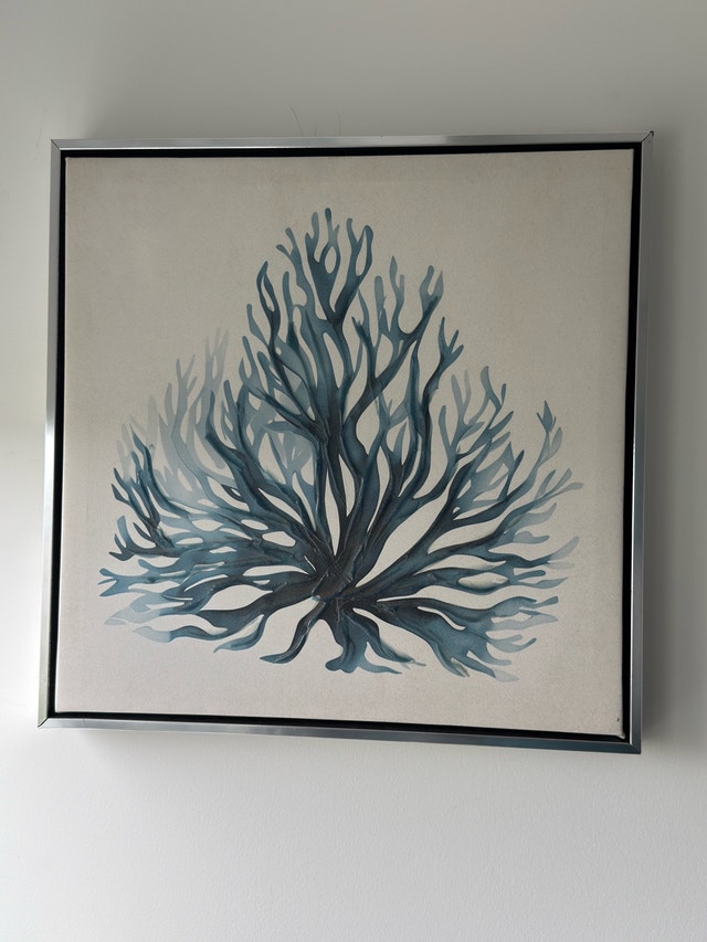 Coral Frame