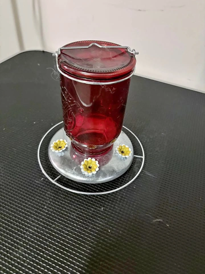 Red Glass Hummingbird Feeder