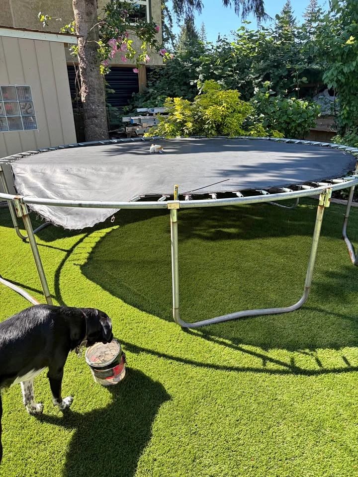 Used trampoline frame and springs