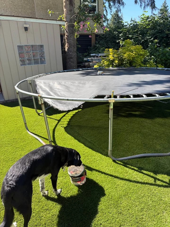 Used trampoline frame and springs - photo 2