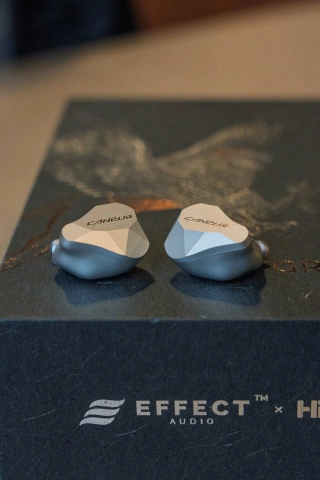 Canpur Silver Flash In Ear Monitors IEM - photo 2