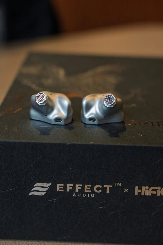 Canpur Silver Flash In Ear Monitors IEM - photo 4