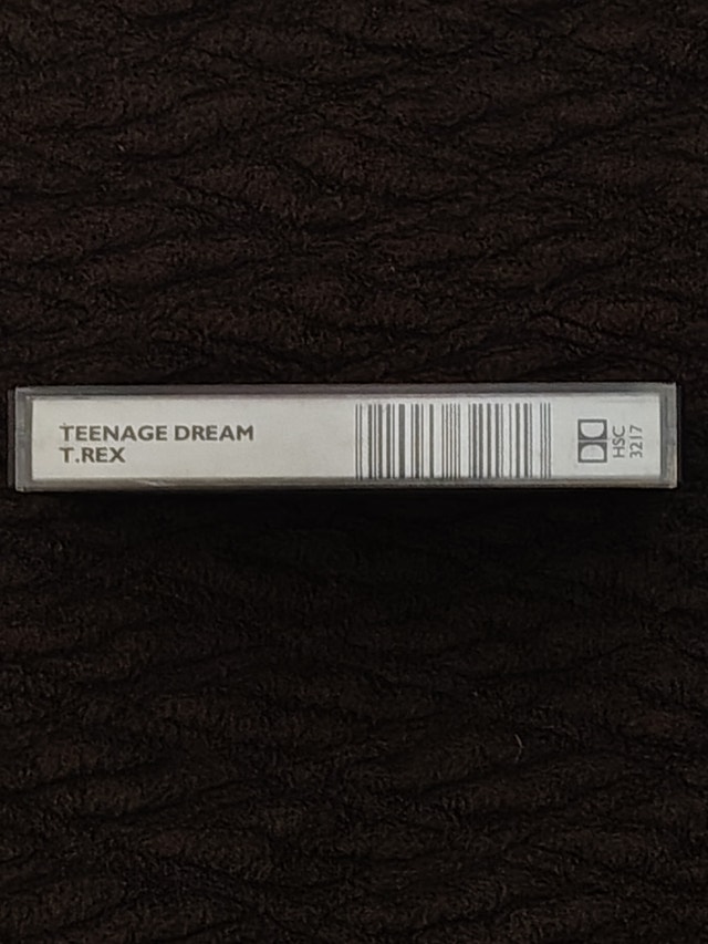 T.REX - Teenage Dream - HSC 3217 - photo 2