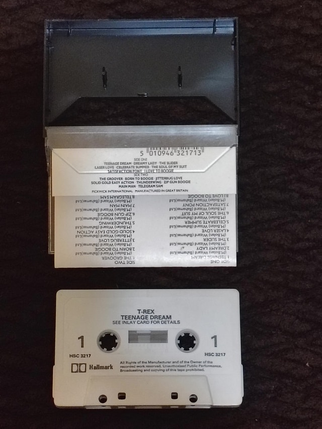 T.REX - Teenage Dream - HSC 3217 - photo 3