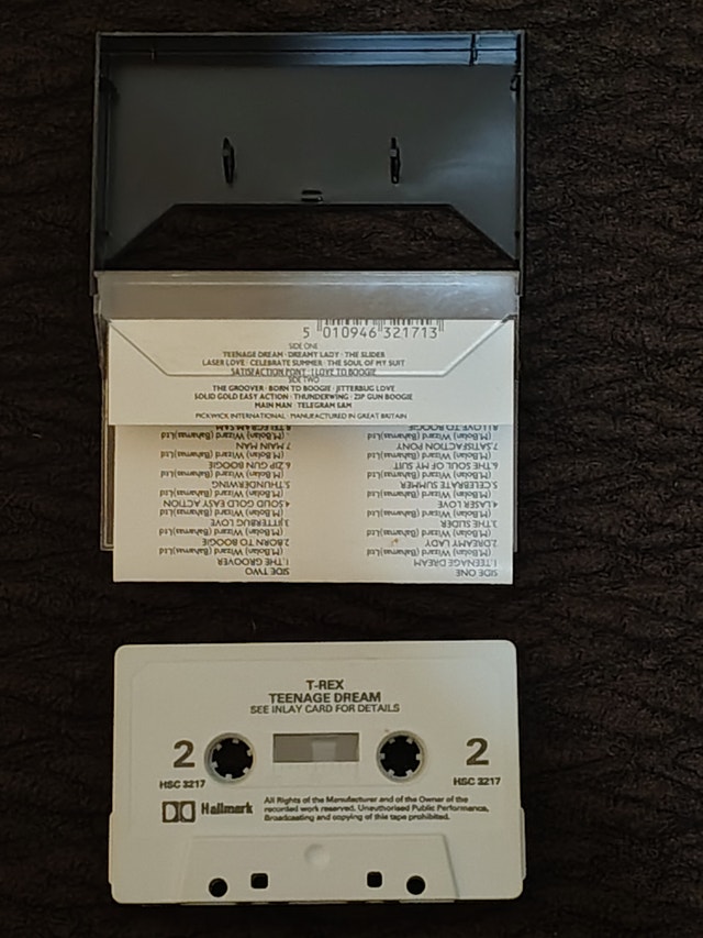 T.REX - Teenage Dream - HSC 3217 - photo 4