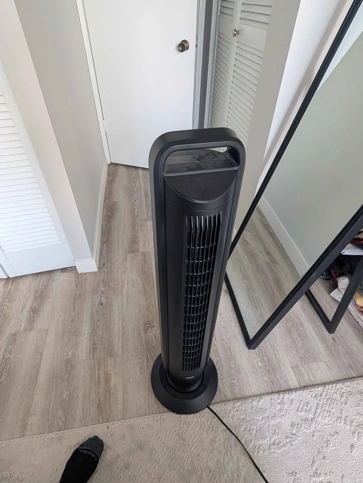 Fan