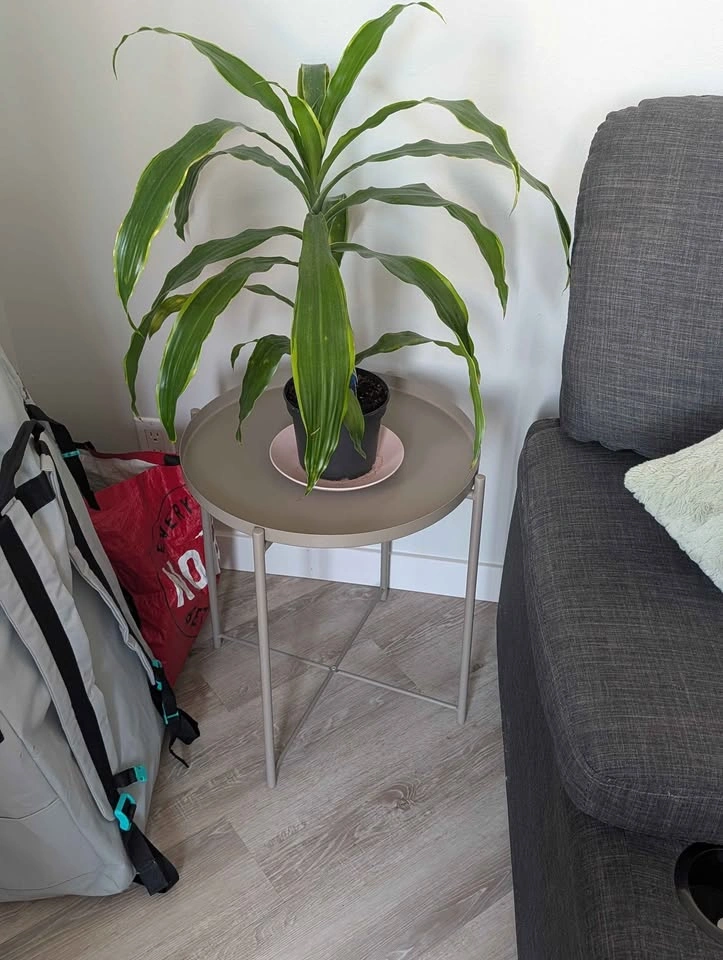 Small Table